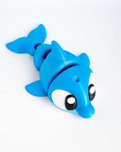 Cute eyes dolphin - eyes,