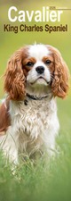Cavalier King Charles Slim