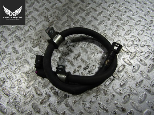 Fuel tank petrol - fuel, hose