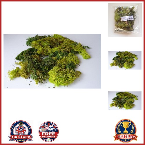 Grams mixed green lichen - mixed,