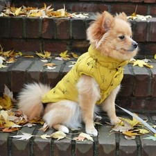 Yellow Dog Vest for Small Dogs