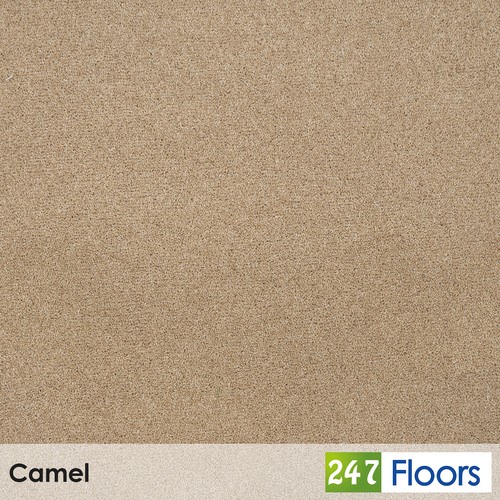 Camel pembroke twist carpet - camel,