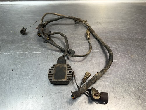 2001 2005 yamaha raptor 660 - 2001-2005,