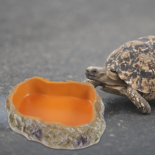 Reptile water bowls decorative - bowls,