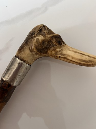 Antique carved horn dog head - antique,