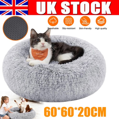 Comfy calming donut - donut, extra