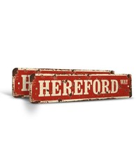 HEREFORD Vintage Style Street