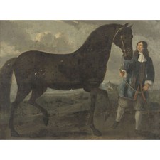 Black Horse With Groom