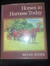 Horses in Harness Today by