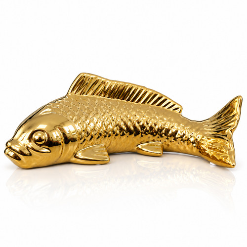 Gold koi carp - koi, fish