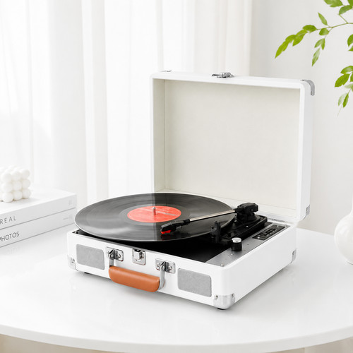 Portable vinyl record - portable,