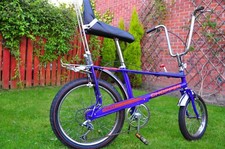 Vintage 1974 Purple Raleigh
