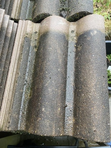 Bold roll russell reclaimed - roll,