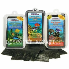 Ocean Nutrition Marine Algae Red Green Brown Seaweed Free Clip Garlic Fish Tank