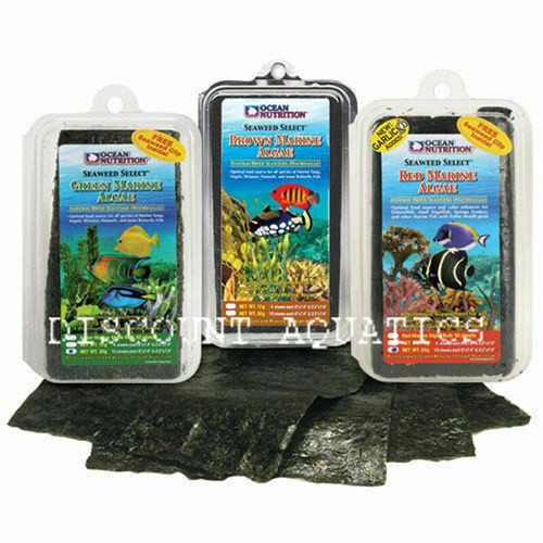 Ocean nutrition marine algae - nutrition,