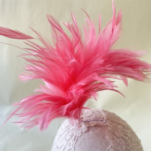 Colours hackle coque - 80,