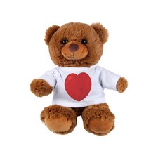 Valentine's Day Teddy Bear