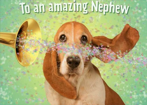 Basset hound horn blowing - hound,