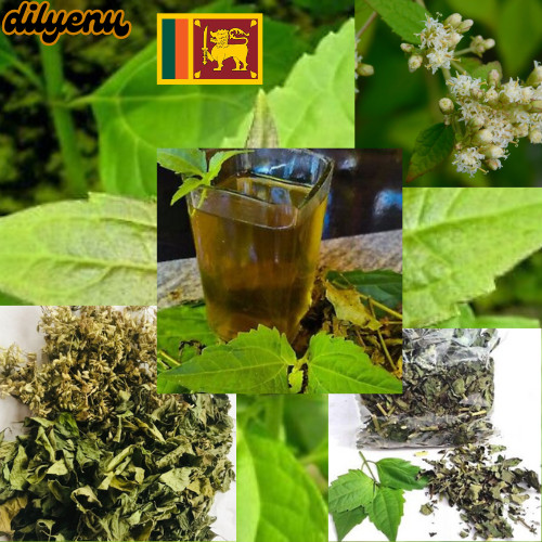 Mexican dream herb dried - mexican,