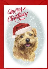Norfolk Terrier Dog A6 (4"x 6") Christmas Card (Blank inside) by Starprint