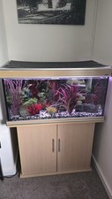 3 Ft Fish Tank  with Stand, Accessories And Fish