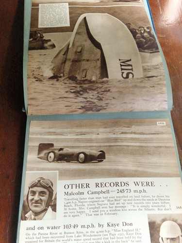 1930s scrapbook bluebird - [1930s],