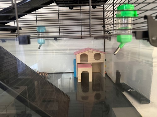 Hamster cage large - hamster,