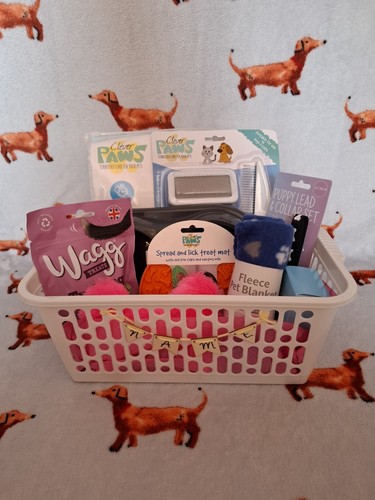 Puppy starter kit - kit, hamper