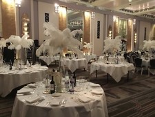 Ostrich feathers on tall vase