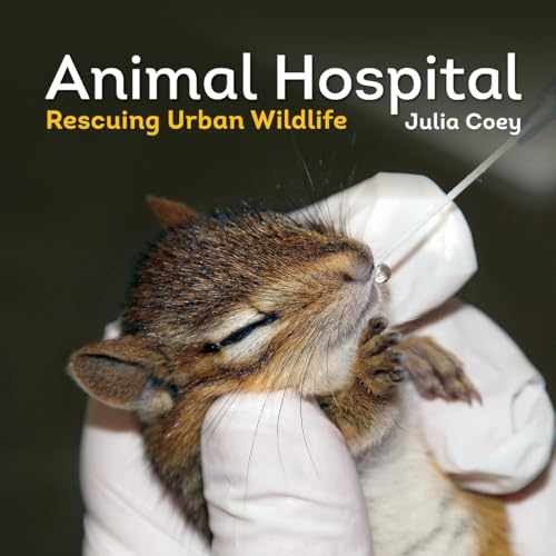 Animal hospital rescuing - hospital:,