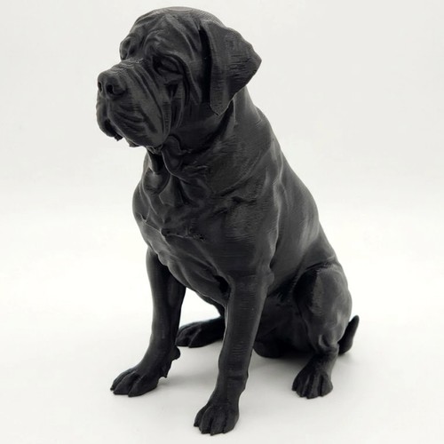 English mastiff dog - mastiff,