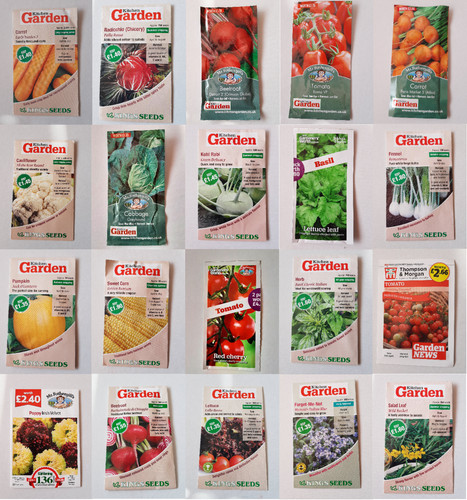 Seeds fresh herbs - seeds, vegetable