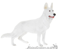 White Alsatian German Shepherd