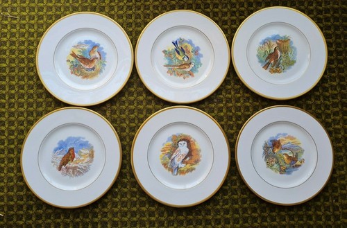 Coalport british bird design - bird,