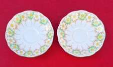 2x Roslyn Fine bone china
