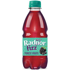 Radnor Fizz Forest Fruits | 24x330ml | Free Delivery