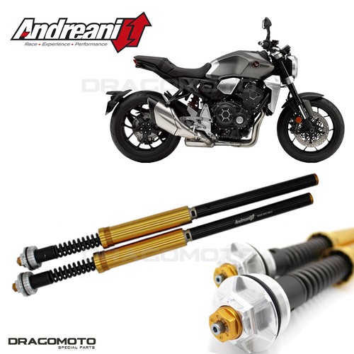 Honda 1000 2018 - 1000, 2018-2020
