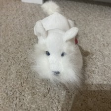 New Harrods westhighland white