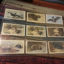 Vintage 1970s GRANDEE “British Mammals” Cigarette Cards