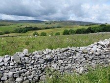 Photo A1 Pasture land near