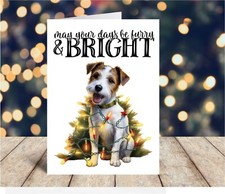 Parson Russell Terrier Dog