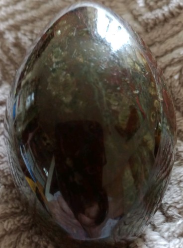 Serpentine egg from the lizard - egg,