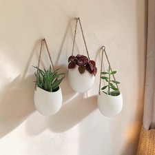 Hanging Wall Planters Cream