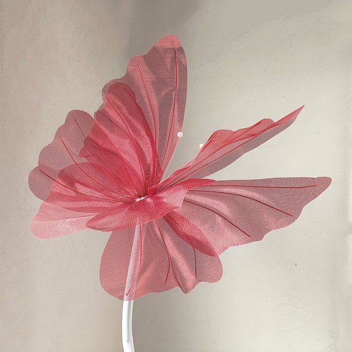 Colorful butterfly wedding - butterfly,