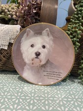 Eyes of Love Poetry of Westie