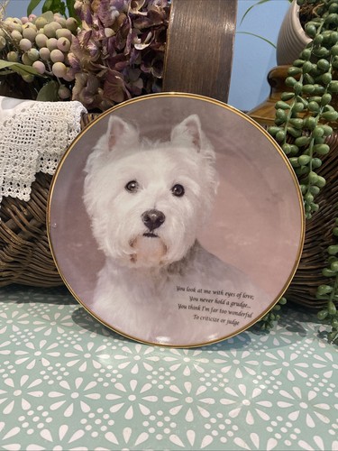 Eyes love poetry westie - eyes,