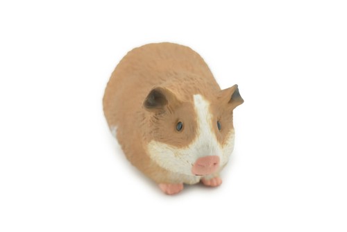 Guinea pig rubber animal - guinea, pig,