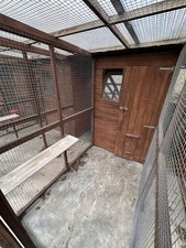 Timber cattery cat pens - cattery/cat,
