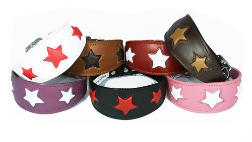Dog collar leather - collar, whippet