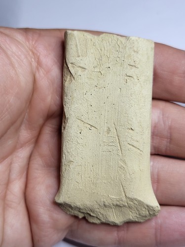 Unknown fossil research - fossil.,